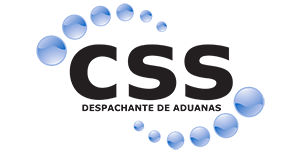 CSS Agente de Carga